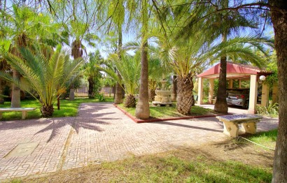 Reventa - Villa - Elche Pedanías - Peña las Aguilas