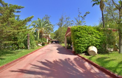 Reventa - Villa - Elche Pedanías - Peña las Aguilas