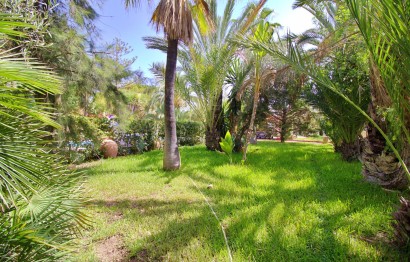 Reventa - Villa - Elche Pedanías - Peña las Aguilas