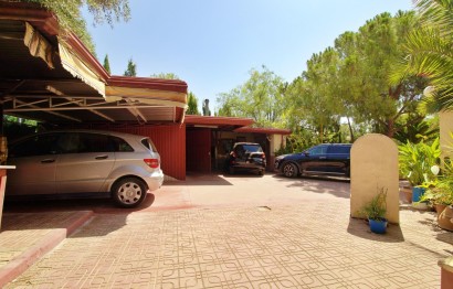 Reventa - Villa - Elche Pedanías - Peña las Águilas