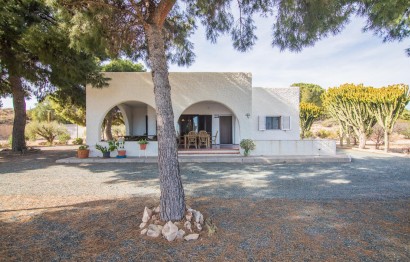 Reventa - Villa - Elche Pedanías - Peña las Aguilas