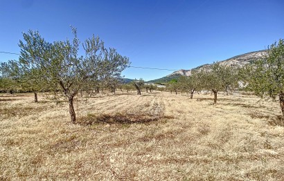 Resale - Plot / Land - Castalla - Comunidad valenciana