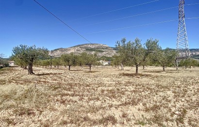 Resale - Plot / Land - Castalla - Comunidad valenciana