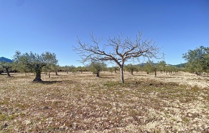 Resale - Plot / Land - Castalla - Comunidad valenciana