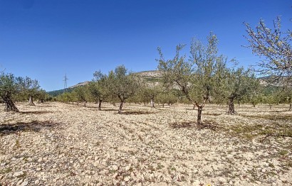 Revente - Parcelle / Terrain - Castalla - Comunidad valenciana