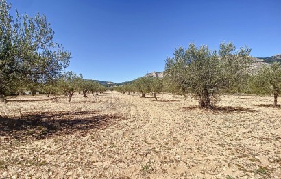 Resale - Plot / Land - Castalla - Comunidad valenciana