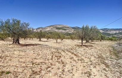 Resale - Plot / Land - Castalla - Comunidad valenciana