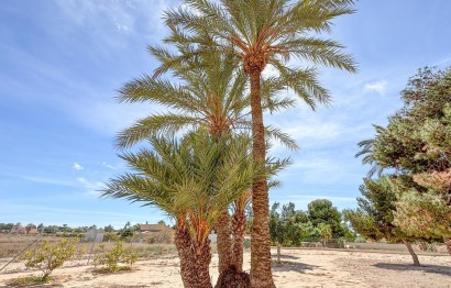 Reventa - Villa - Elche Pedanías - Valverde