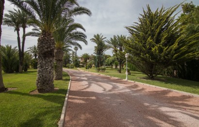 Reventa - Chalet - Elche Pedanías - Valverde