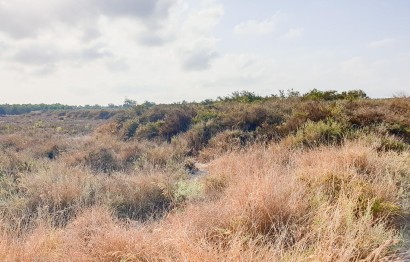 Reventa - Parcela / Terreno - La marina - Molar