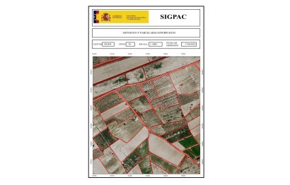 Revente - Parcelle / Terrain - La marina - Molar