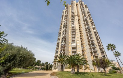 Revente - Apartment - Benidorm - Via Parque