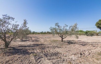 Reventa - Villa - Elche Pedanías - Las Bayas