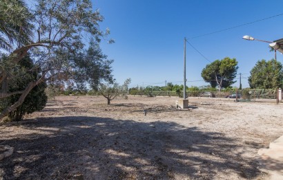 Reventa - Villa - Elche Pedanías - Las Bayas