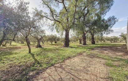 Revente - Ville - Onil - La Lloma