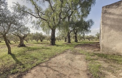 Revente - Ville - Onil - La Lloma