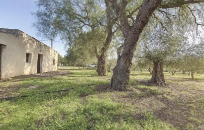 Reventa - Villa - Onil - La Lloma