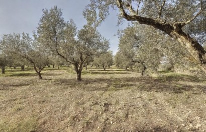 Revente - Ville - Onil - La Lloma