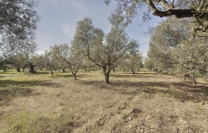 Reventa - Villa - Onil - La Lloma