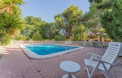 Reventa - Villa - Elche Pedanías - Matola - Campo