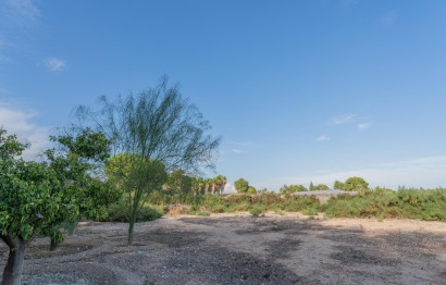 Reventa - Villa - Elche Pedanías - Matola - Campo