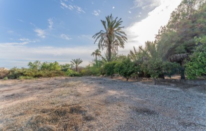 Reventa - Villa - Elche Pedanías - Matola - Campo