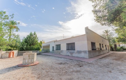 Reventa - Villa - Elche Pedanías - Matola - Campo