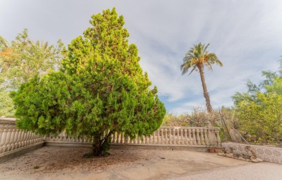 Reventa - Villa - Elche Pedanías - Matola - Campo