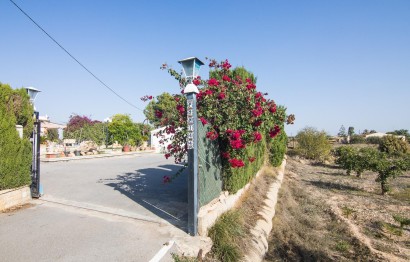 Reventa - Villa - Elche Pedanías - Algoda-Matola-Llano de San José