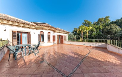 Reventa - Villa - Elche Pedanías - Alzabares