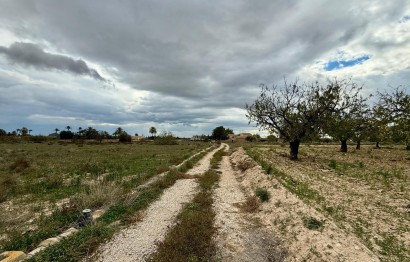 Resale - Plot / Land - Elche Pedanías - Maitino-Perleta