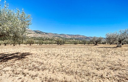 Resale - Plot / Land - Castalla - Ginets