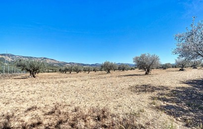 Resale - Plot / Land - Castalla - Ginets