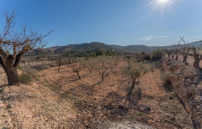 Revente - Plot - Hondón de las Nieves - Comunidad valenciana