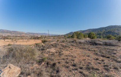 Reventa - Parcela / Terreno - Hondón de las Nieves - Comunidad valenciana