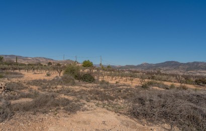 Reventa - Parcela / Terreno - Hondón de las Nieves - Comunidad valenciana