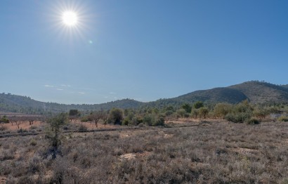 Reventa - Parcela / Terreno - Hondón de las Nieves - Comunidad valenciana