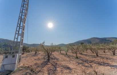 Reventa - Parcela / Terreno - Hondón de las Nieves - Comunidad valenciana