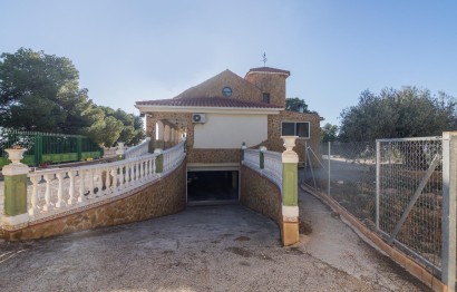 Resale - Villa - Crevillent - Comunidad valenciana