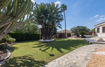 Reventa - Villa - Elche Pedanías - Peña las Águilas