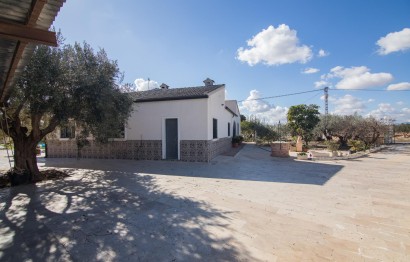 Reventa - Villa - Elche Pedanías - Maitino-Perleta