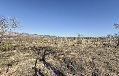 Reventa - Parcela / Terreno - Biar - Comunidad valenciana