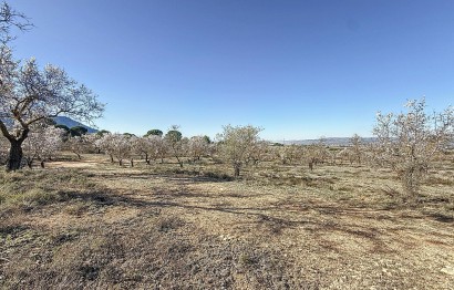 Reventa - Parcela / Terreno - Biar - Comunidad valenciana