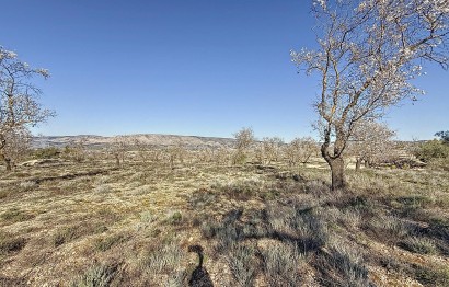 Reventa - Parcela / Terreno - Biar - Comunidad valenciana