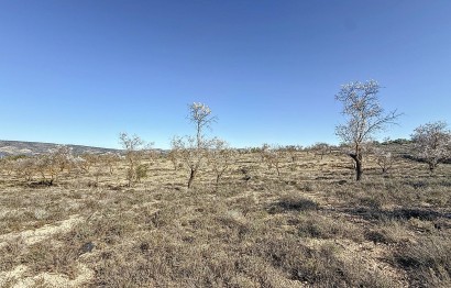 Reventa - Parcela / Terreno - Biar - Comunidad valenciana