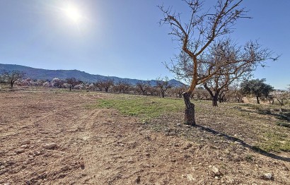 Reventa - Parcela / Terreno - Biar - Comunidad valenciana