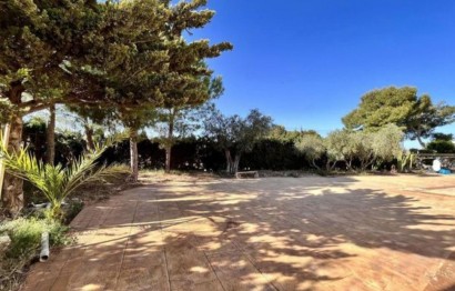 Revente - Chalet - Torrellano
