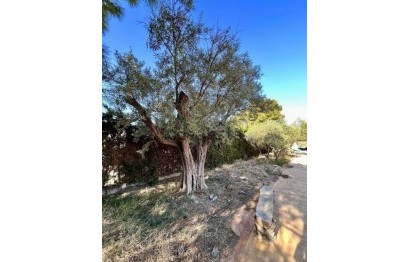 Revente - Chalet - Torrellano