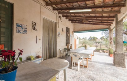 Reventa - Villa - Elche Pedanías - PEÑA DE LAS AGUILAS