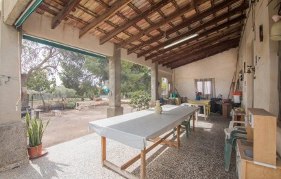 Reventa - Villa - Elche Pedanías - PEÑA DE LAS AGUILAS